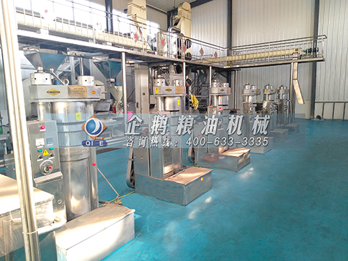 榨油機全套設(shè)備 榨油機全套設(shè)備